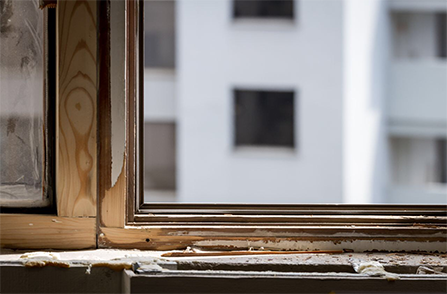 Основные проблемы деревянных окон