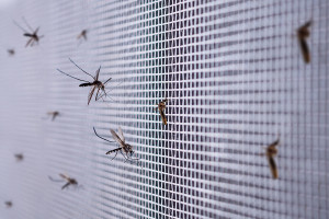 Установка москитных сеток